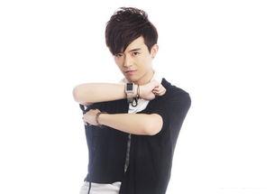 徐嘉苇八卦,揭秘娱乐圈背后的八卦风云