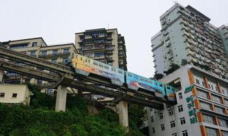 重庆第一网红是谁,揭秘重庆网红界的领军人物