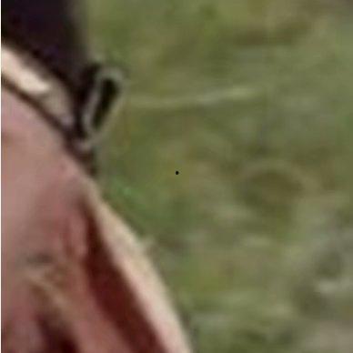 八戒搞笑图片,憨态可掬的猪八戒，笑料百出！