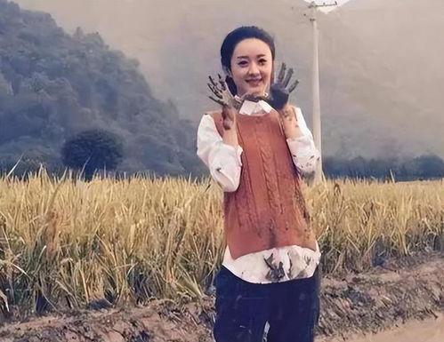 明星在农村,明星助力乡村振兴之旅