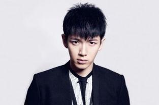 属羊的男明星,揭秘属羊的男明星风采